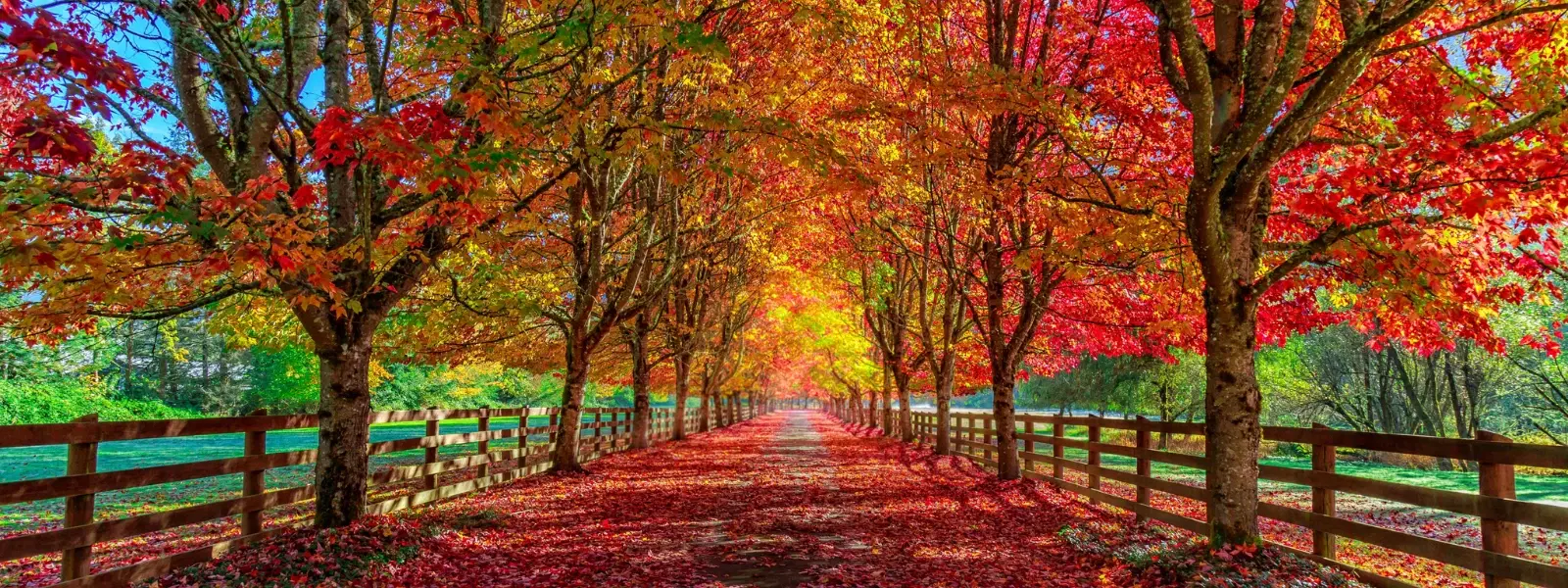 Expert Picks: Top Places to Go in October for Fall Travel