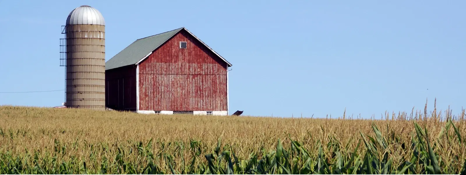 Exploring Rural Farm-to-Table Towns: A Culinary Insight
