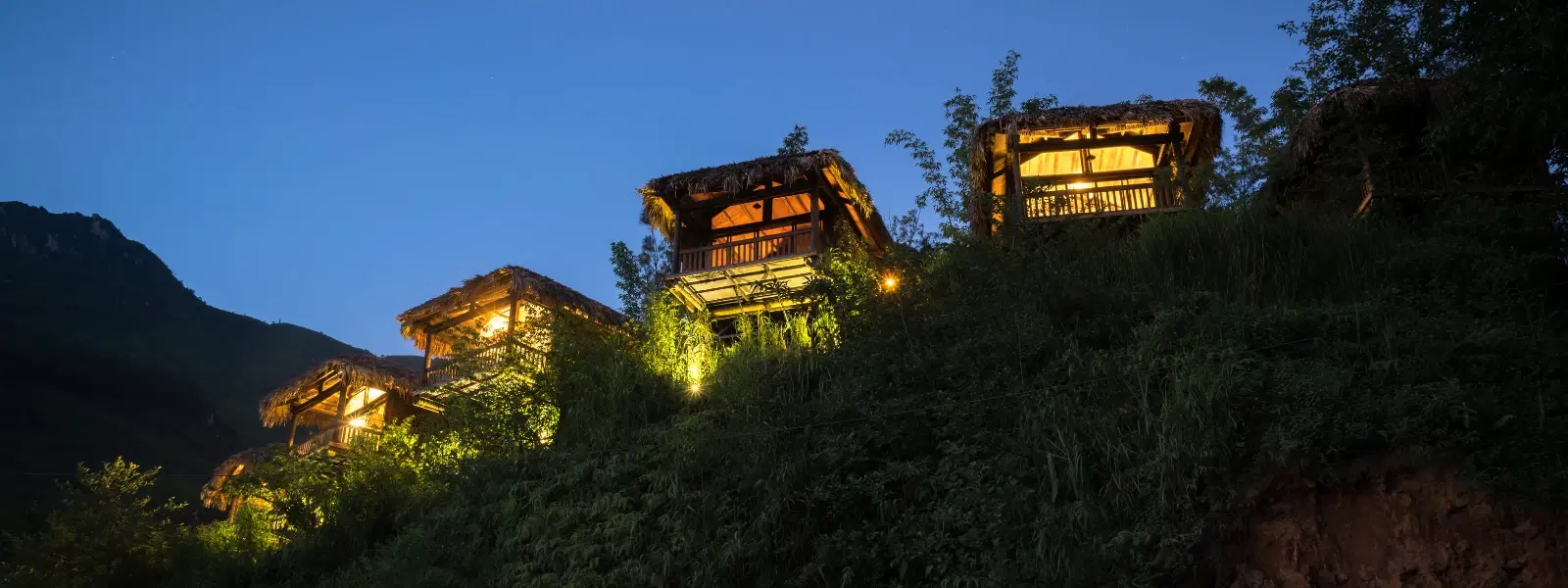 Exploring Safari Lodges in Madhya Pradesh: Expert Insights