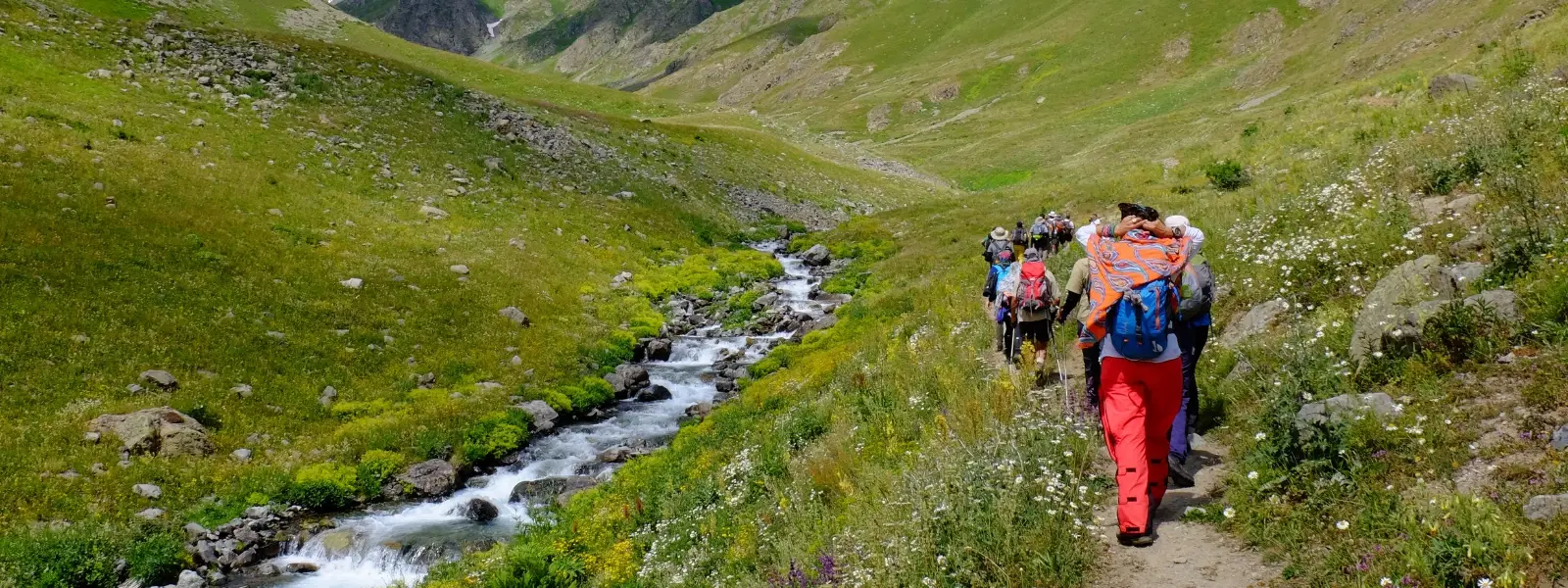 Exploring the Beauty of Valleys with Flower Blooms