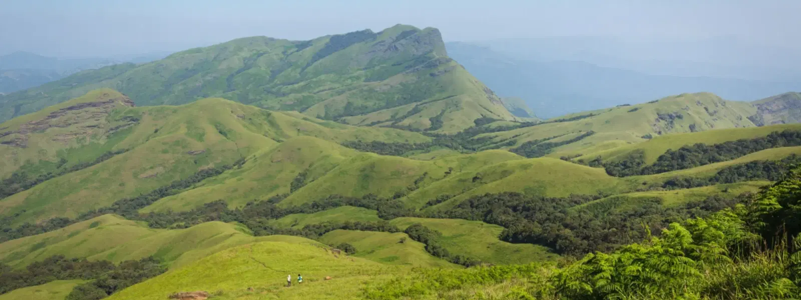 Exploring the Beauty of Valleys with Golden Grasslands