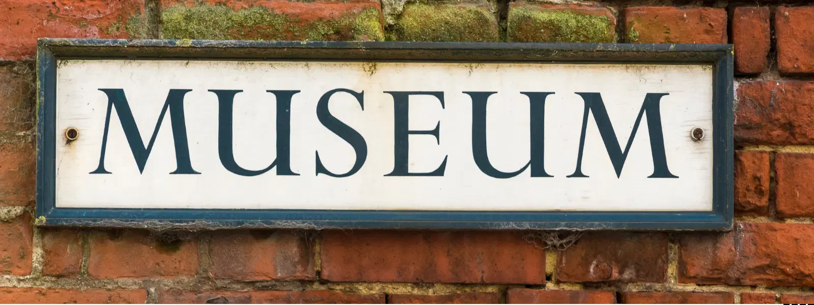 Exploring Tribal Museums in India: A Cultural Insight