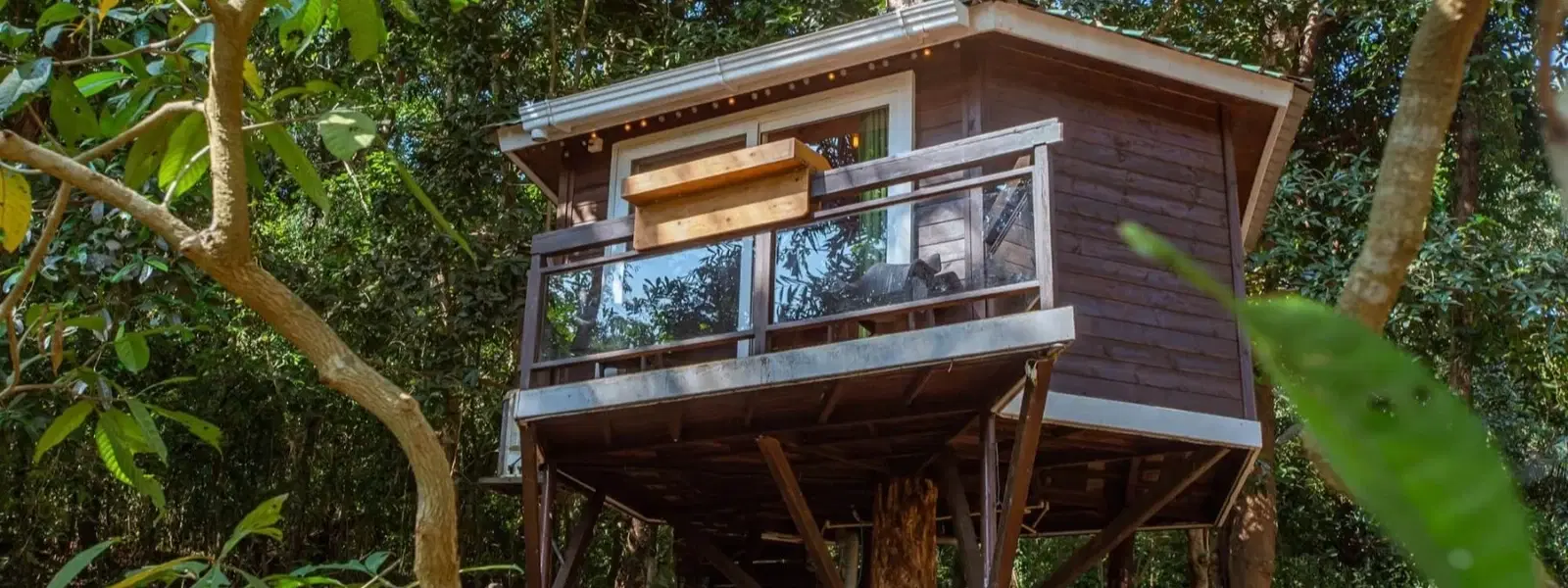 Exploring Unique Treehouse Destinations in India
