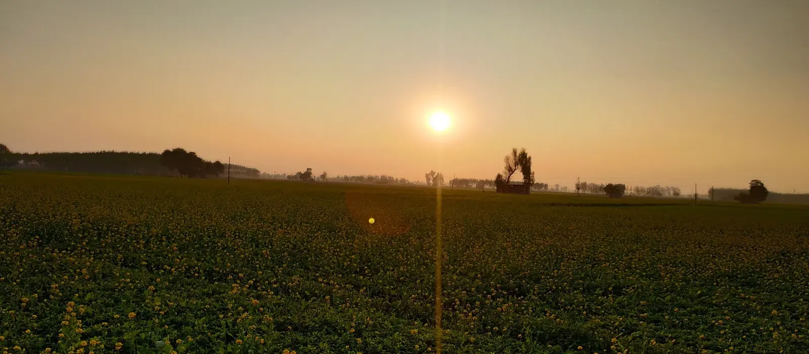 10 Must-Visit Food Spots in Ludhiana for Every Foodie