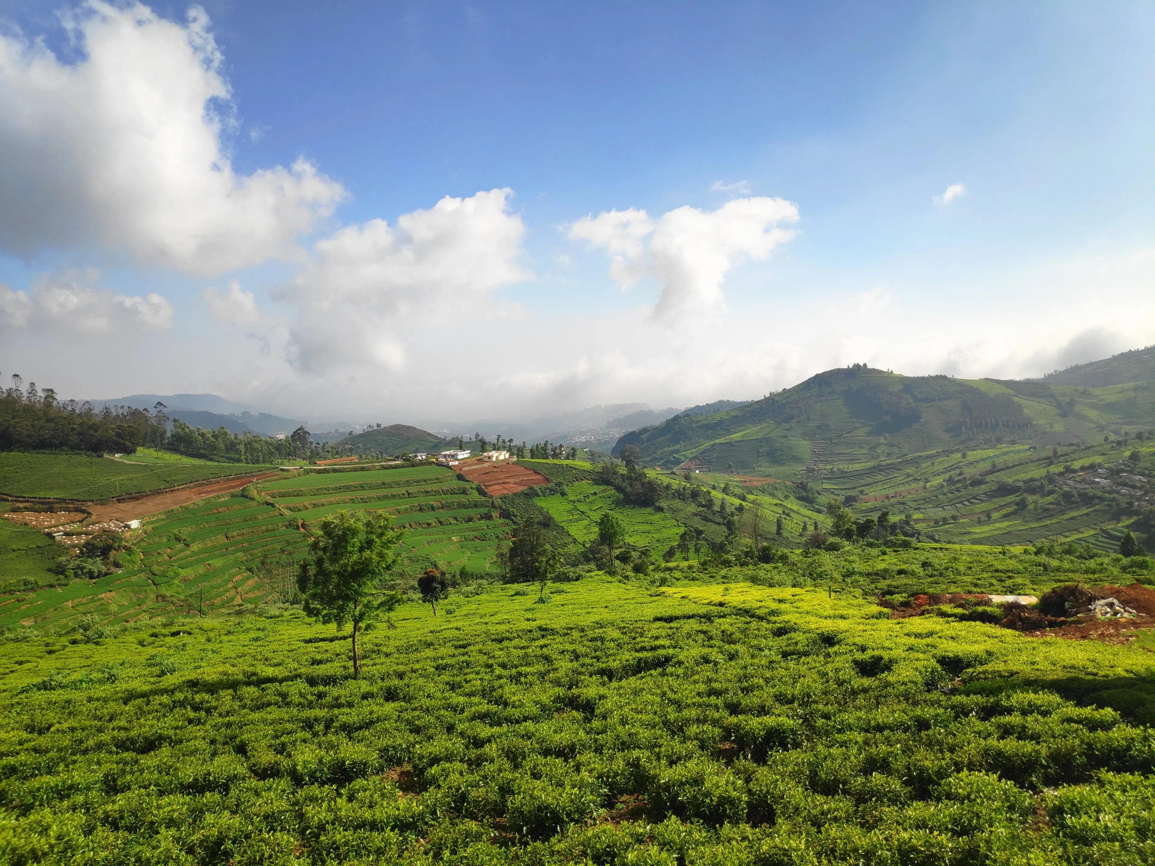 10 Must-See Places to Visit in Pathankot for Tourists