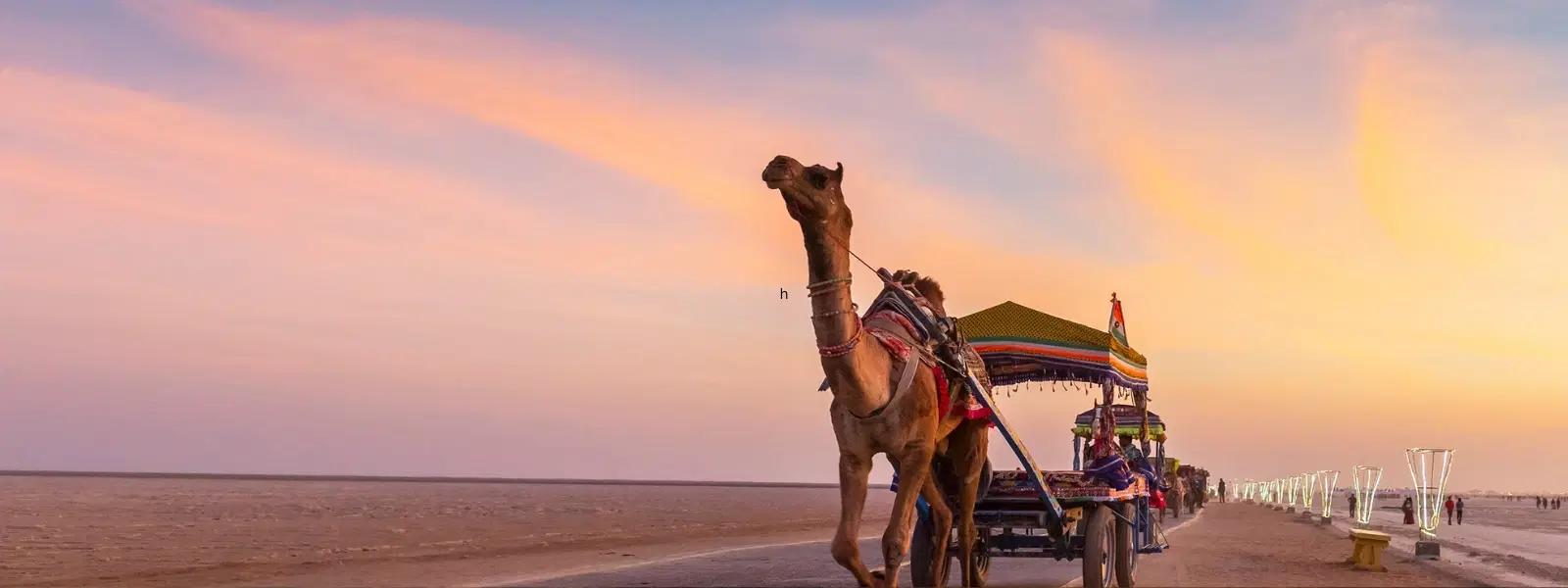 Family Travel to Gujarat: Essential Seasonal Checklist