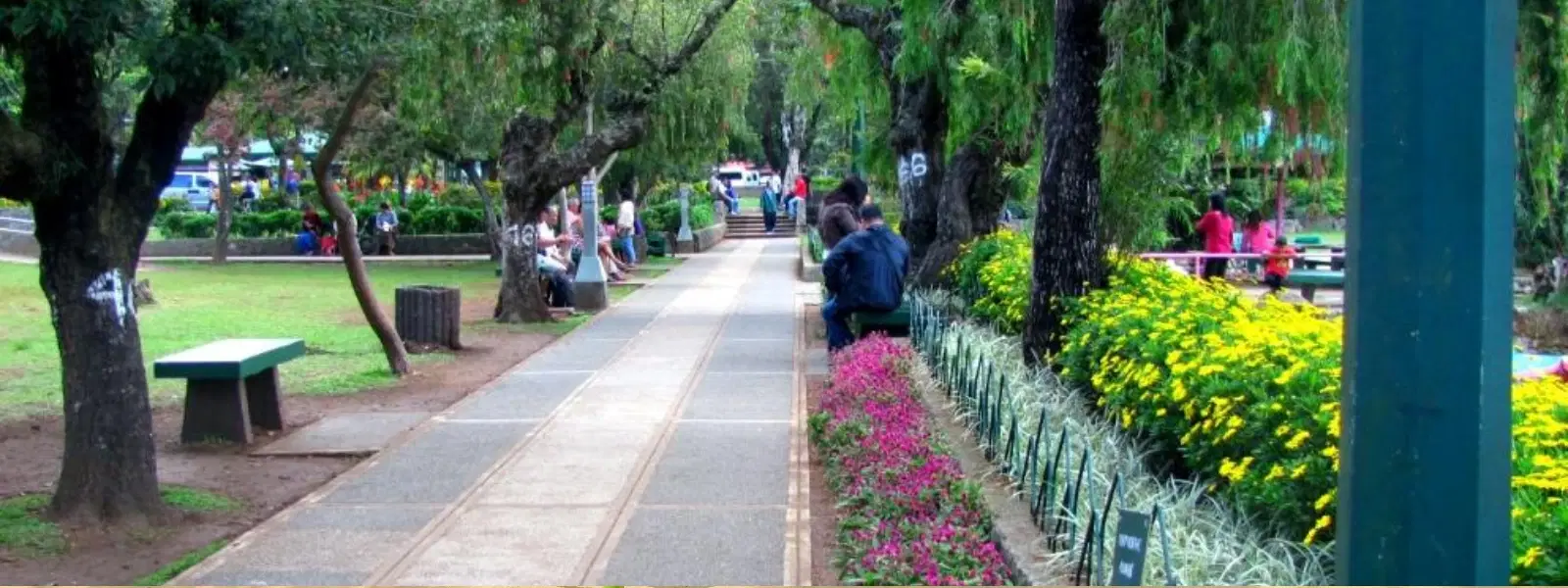 FAQs About Fossil Parks in India: Your Ultimate Guide