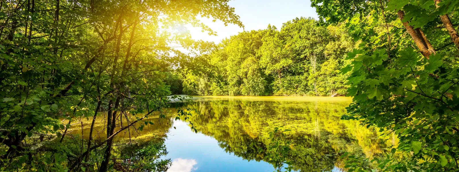 FAQs About Green Lake Sikkim: Trekking & Travel Tips