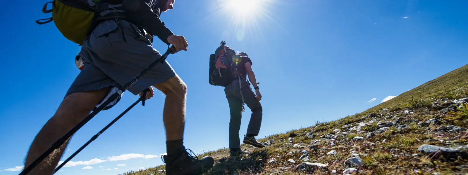 FAQs About Horsley Hills Weekend Getaway AP Answered