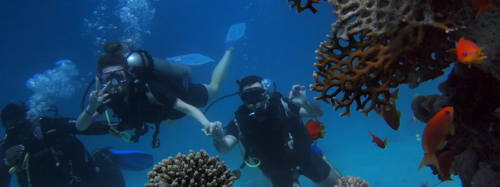 FAQs About Snorkeling in Chennai: Top Spots & Tours