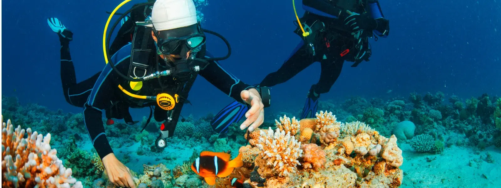 FAQs About Snorkelling in Unawatuna: Beginner’s Guide