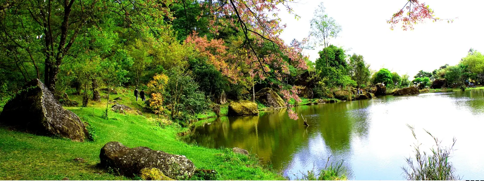 FAQs on Agritourism in Himachal Apple Orchard Stays