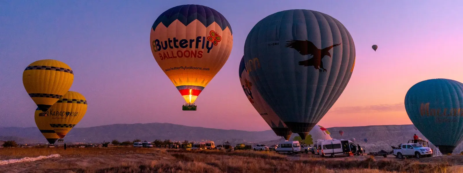 FAQs on Hot Air Balloon Rides in Rishikesh: All You Need to Know