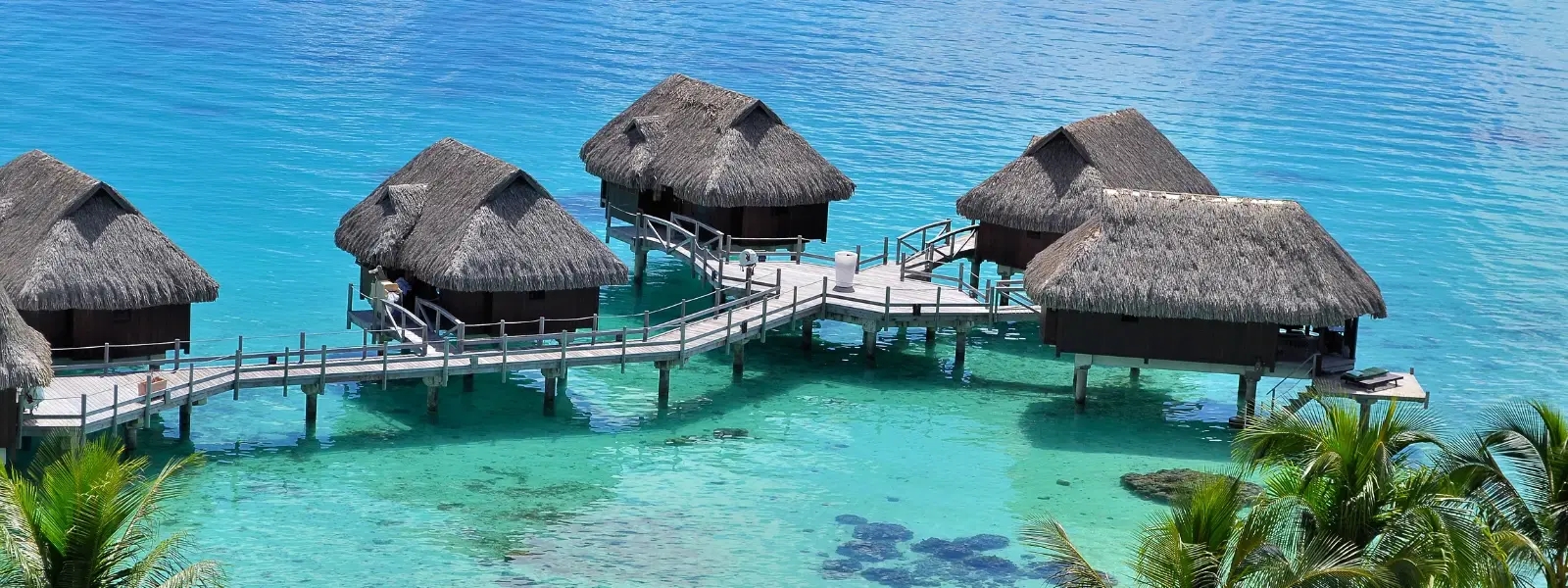 Fiji Island Country vs Maldives: Which Paradise Wins?