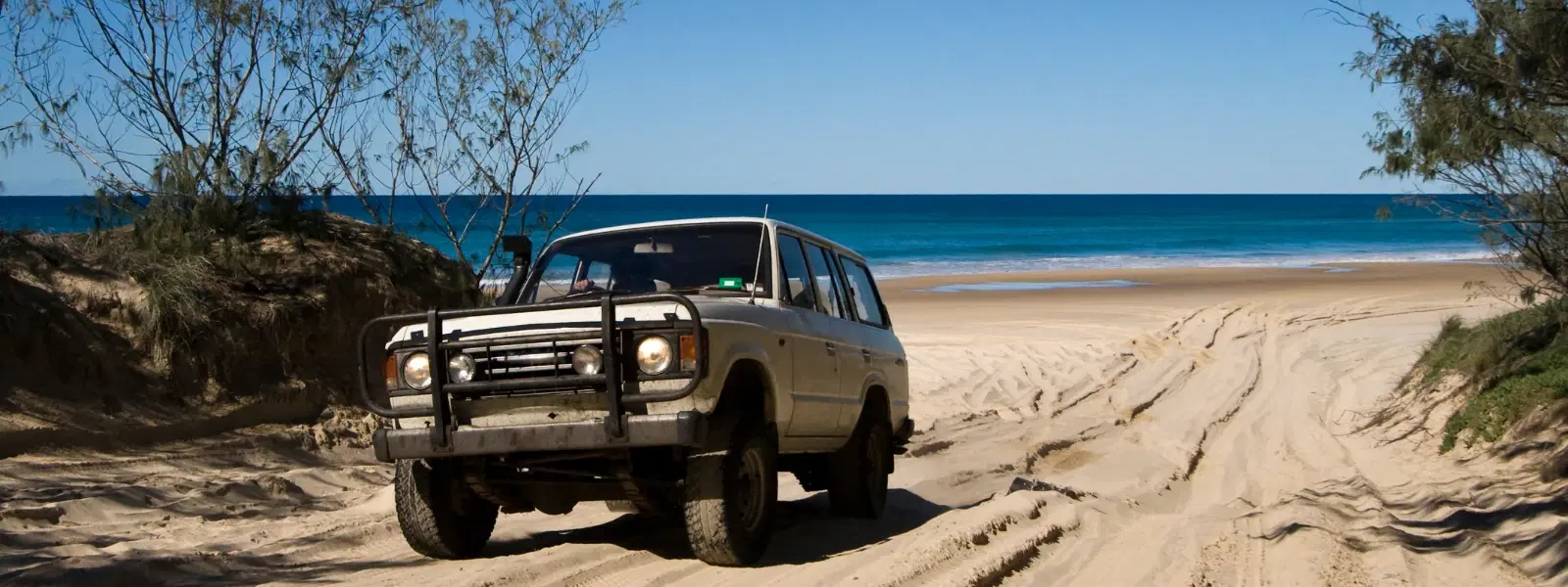 Fraser Island Tours vs Camping: Which Adventure Wins?