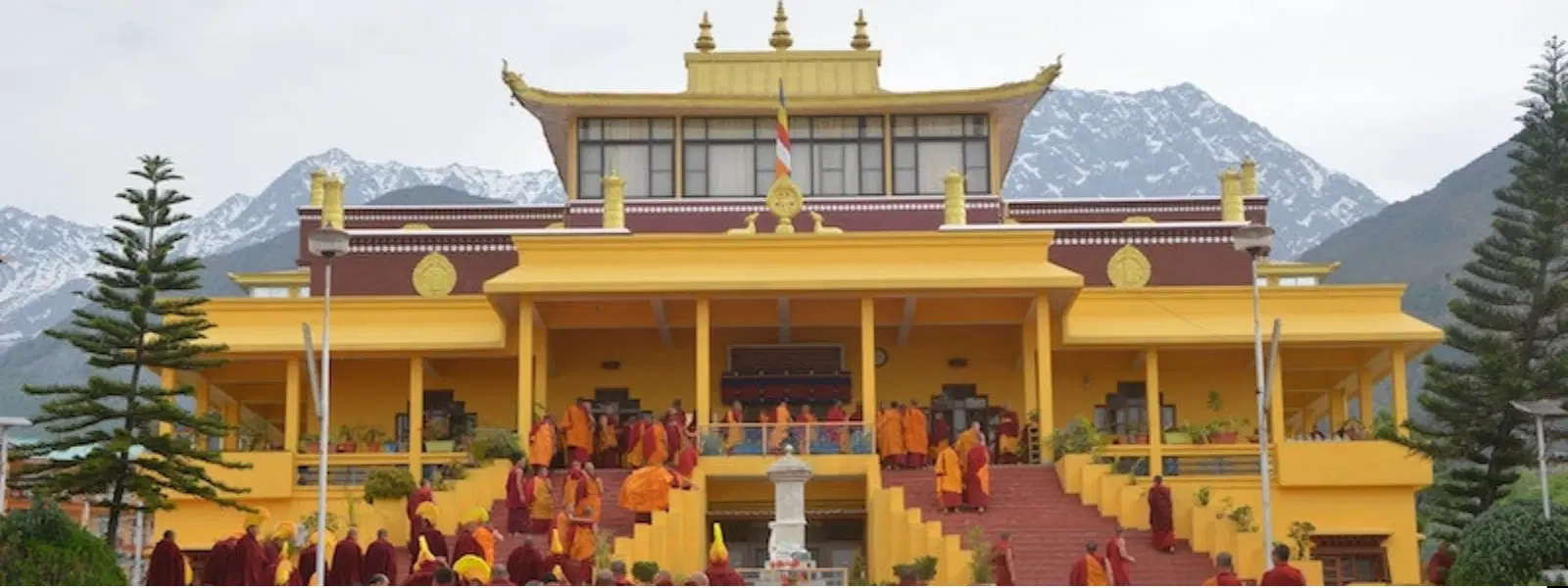 Gyuto Monastery Checklist: Must-Do Buddhist Chant Rituals