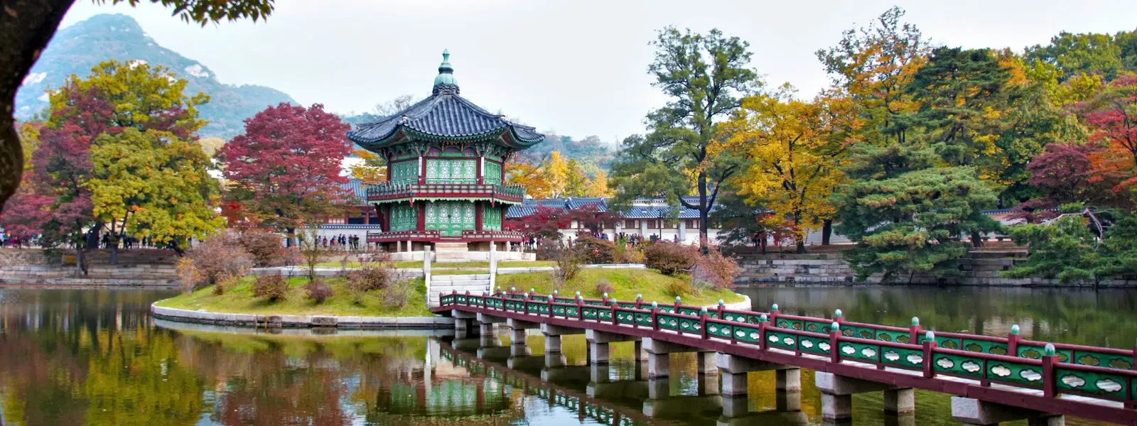 Herb Island Korea vs Herb Garden Korea: Key Differences