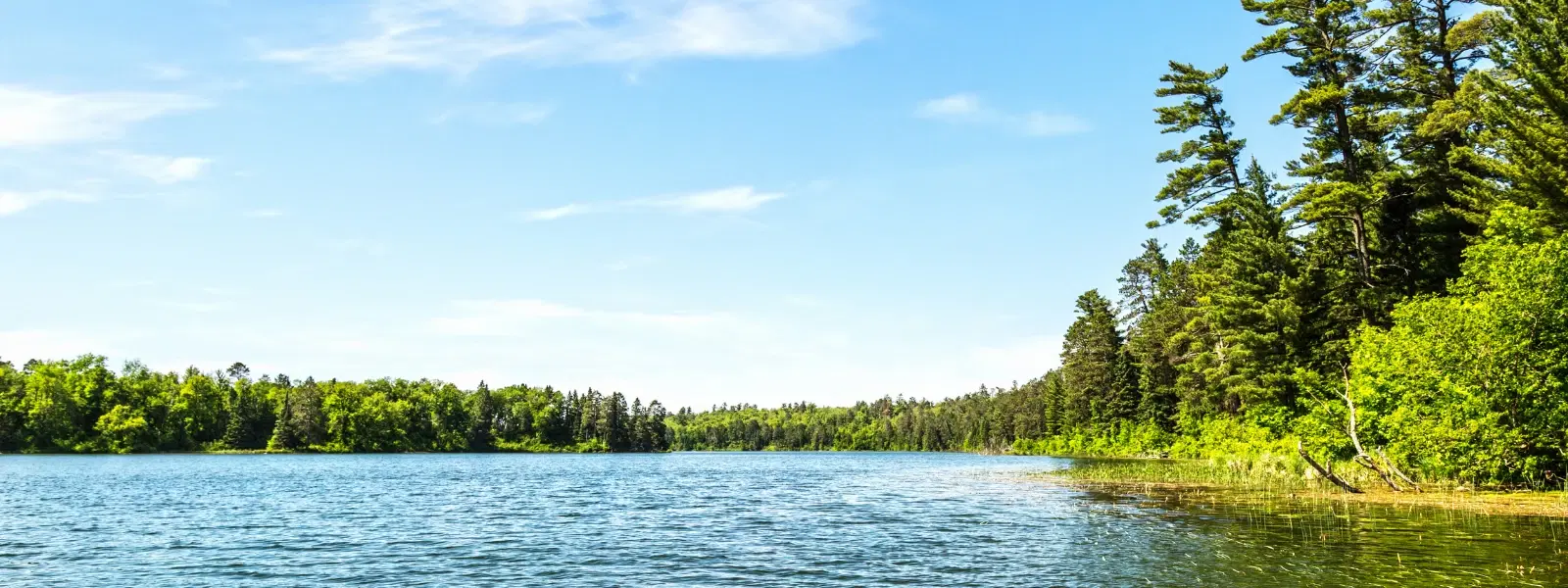 Hirekolale Lake Chikmagalur FAQ: Your Travel Questions Answered