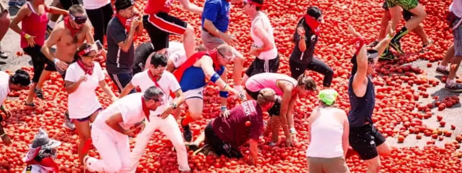 How to Celebrate Pola Festival in Maharashtra: A Guide