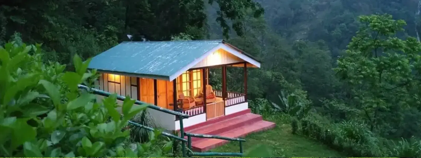 How to Choose the Best Rainforest Stays in Wayanad