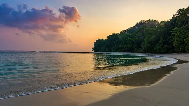 How to Explore Andaman and Nicobar Islands Like a Pro