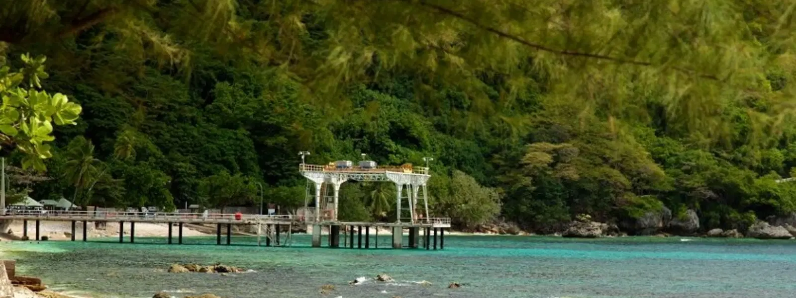 How to Explore Christmas Island National Park Like a Pro