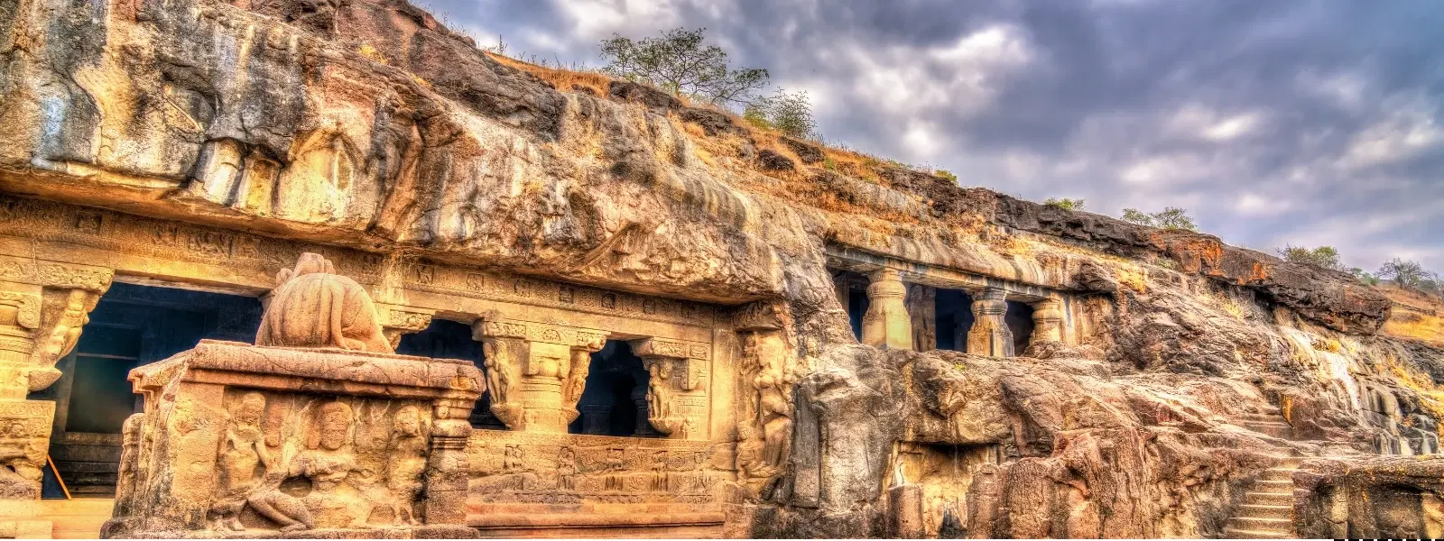 How to Explore Forests with Ancient Cave Paintings