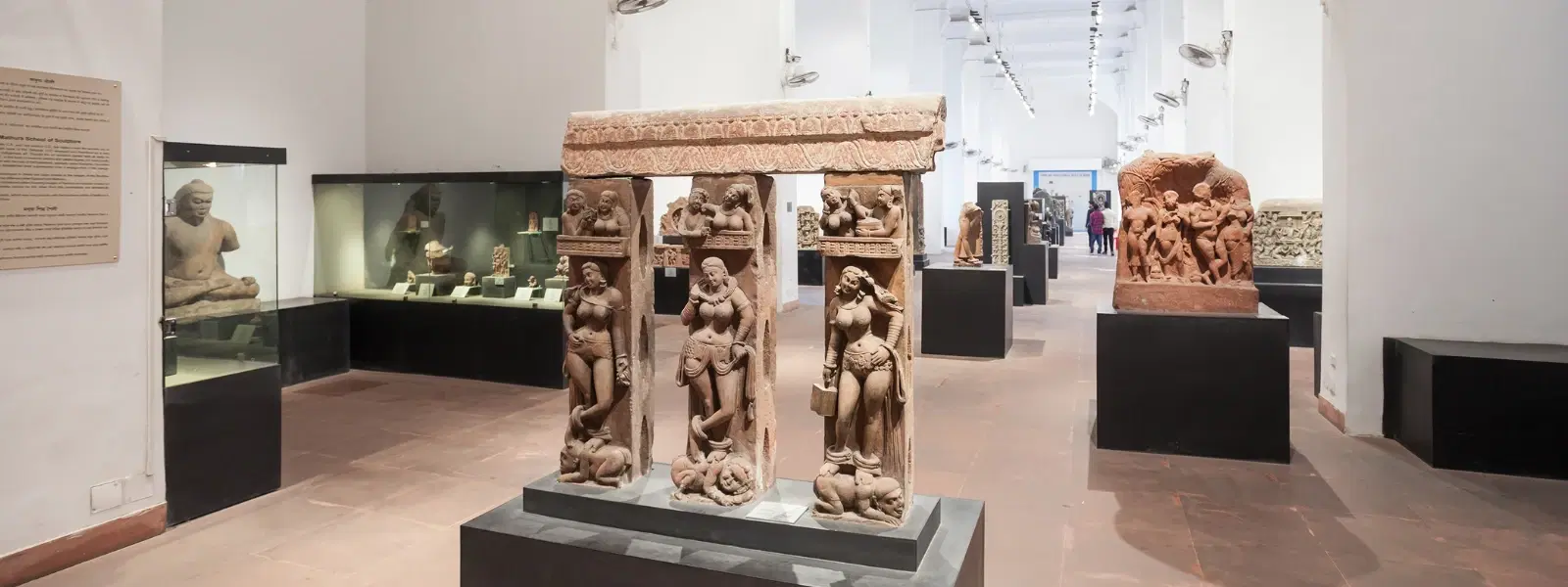 How to Explore Indian Museum Kolkata Exhibits Effectively