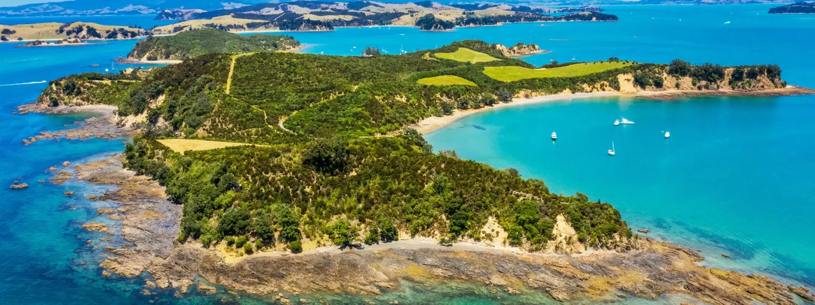 How to Explore Juan Fernández Islands in Chile's Pacific