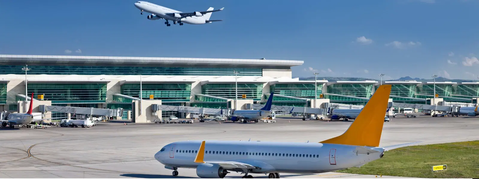How to Find How Many International Airports in Bihar