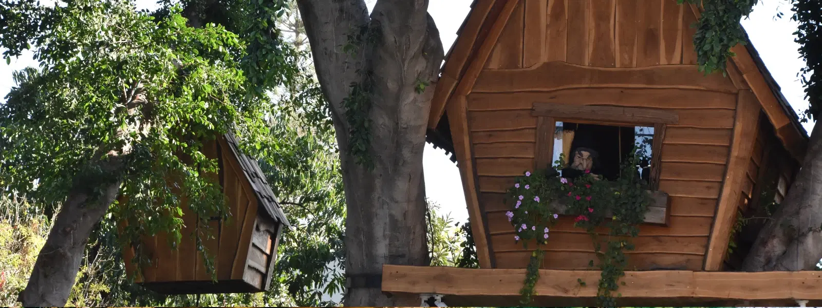 How to Find the Best Treehouse Stays in India