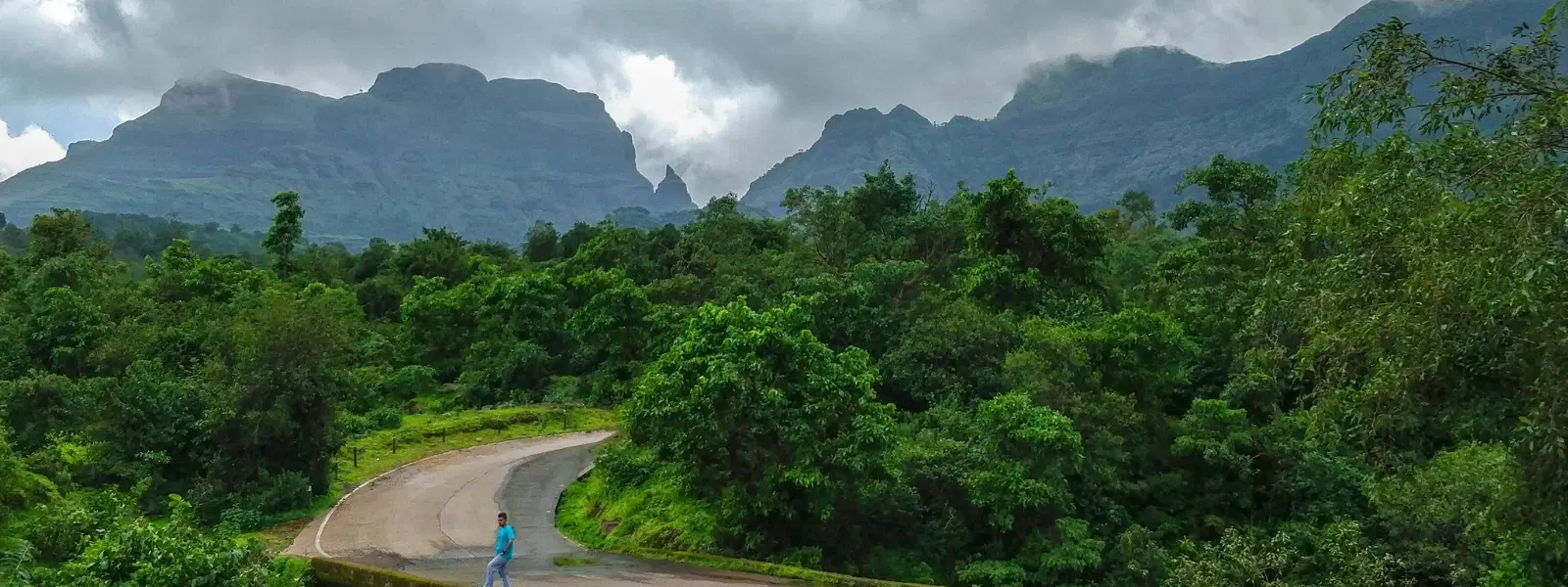 How to Plan a Bangalore Coorg Mysore Scenic Drive