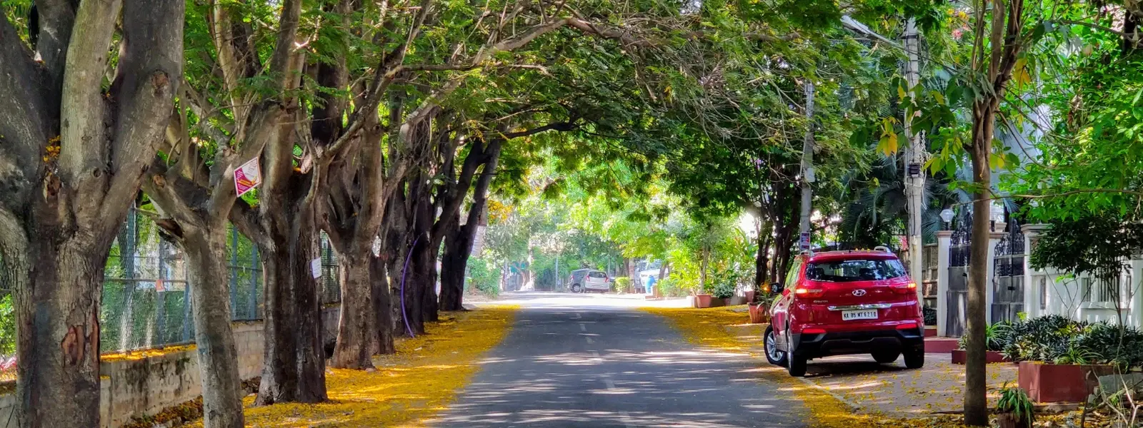 How to Plan a Perfect Bangalore to Munnar Road Trip