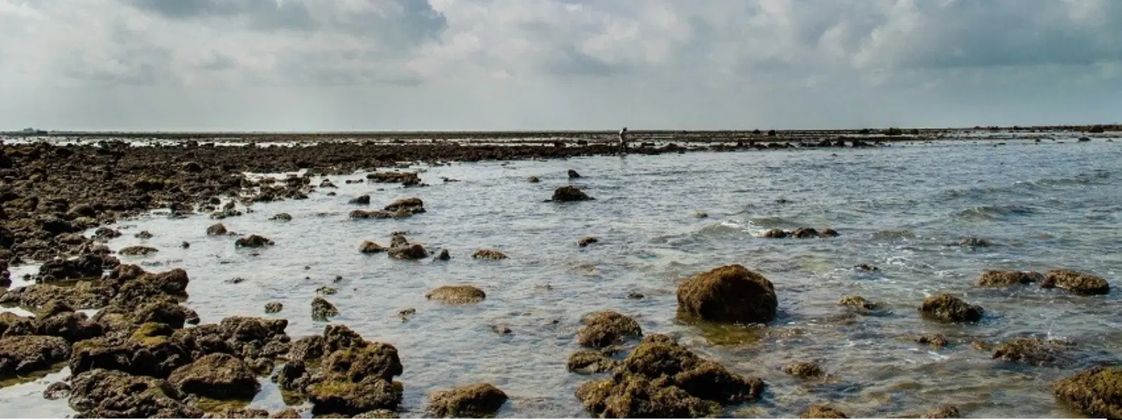 How to Snorkel at Marine National Park Gulf of Kutch