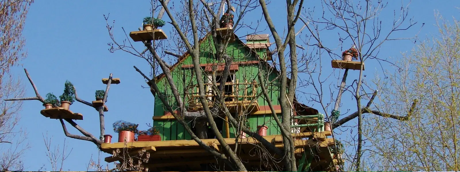 India's Top Treehouse Destinations: Expert Insights