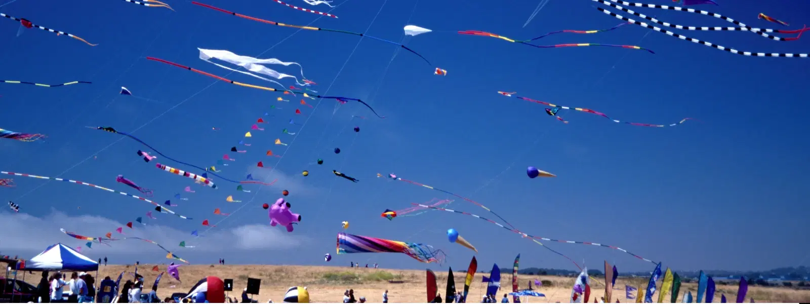Insights into the International Kite Festival in Ahmedabad