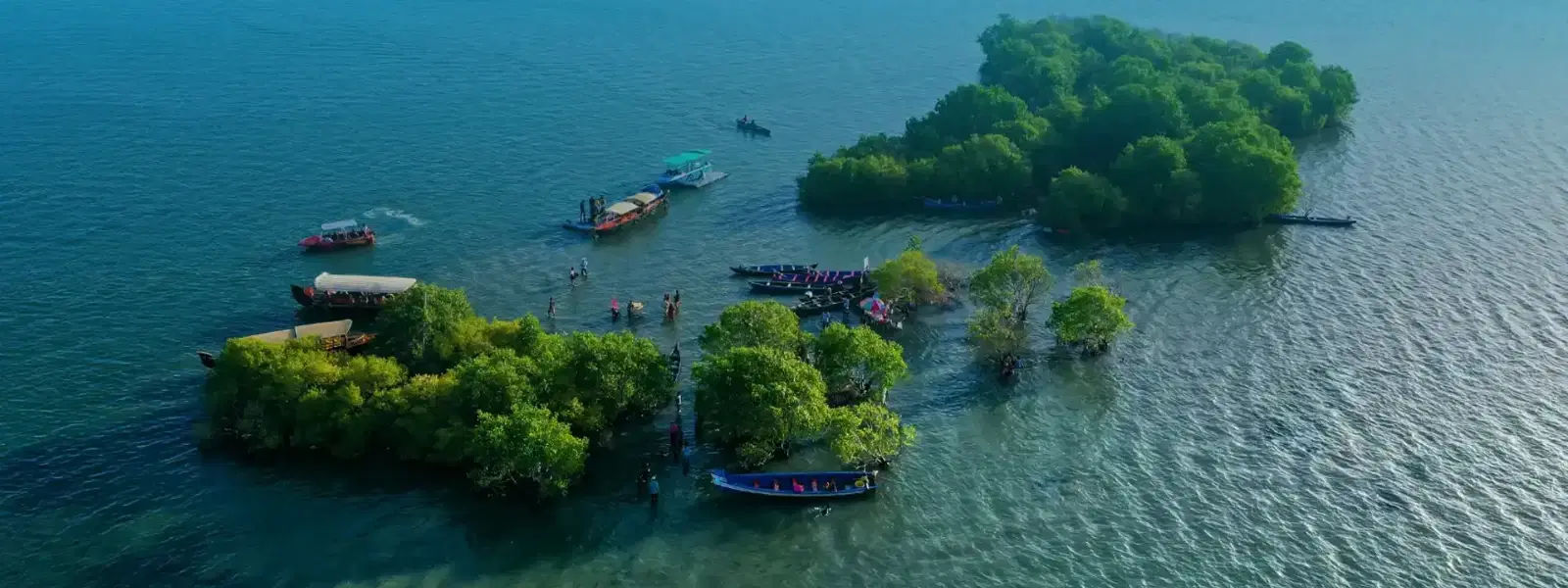 Island in Kollam vs Backwater Retreats: Which to Choose?