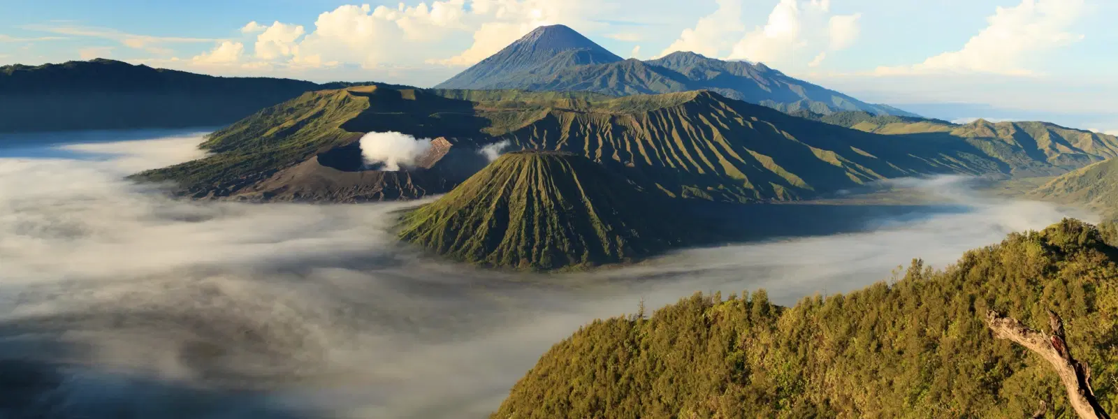 Java Island Travel Checklist: Top Attractions to Visit