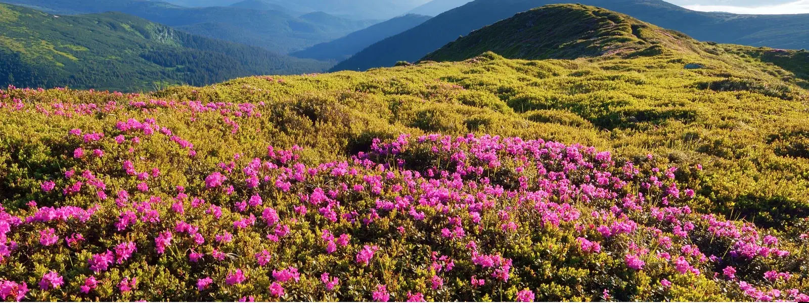 July Travel Checklist: Best Summer Destinations to Visit