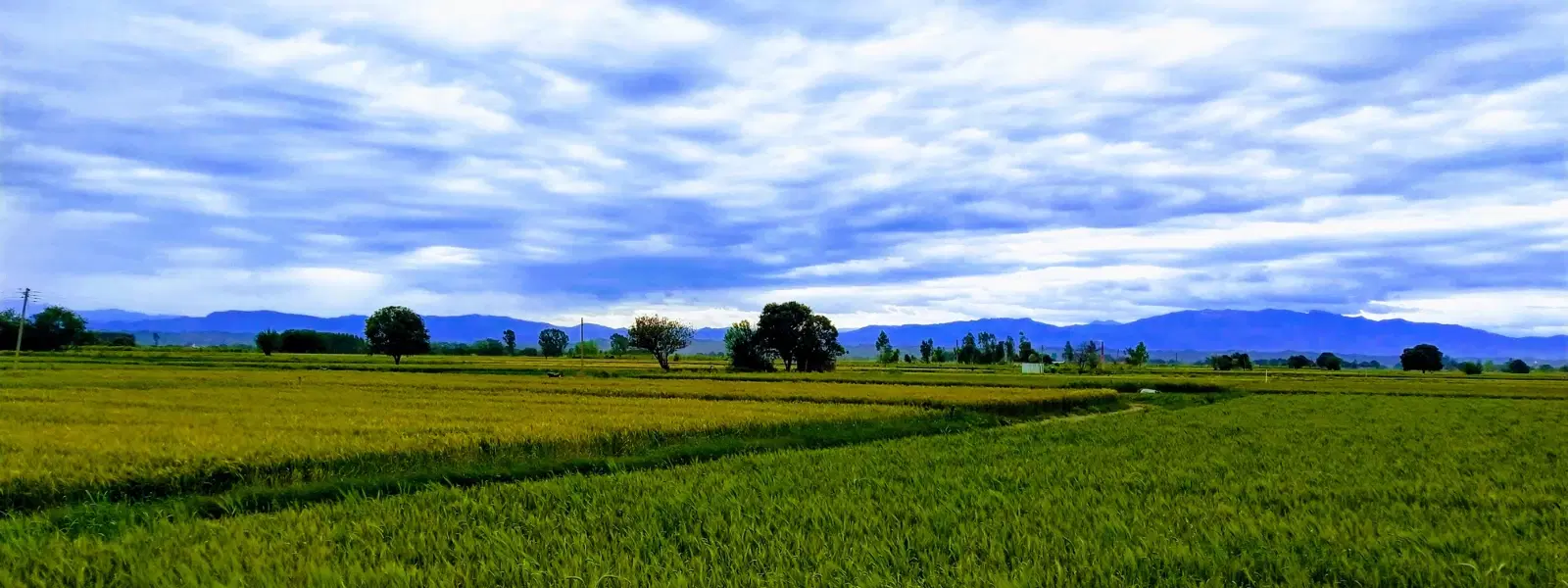 Ludhiana Historical Places: Your Ultimate Travel Checklist