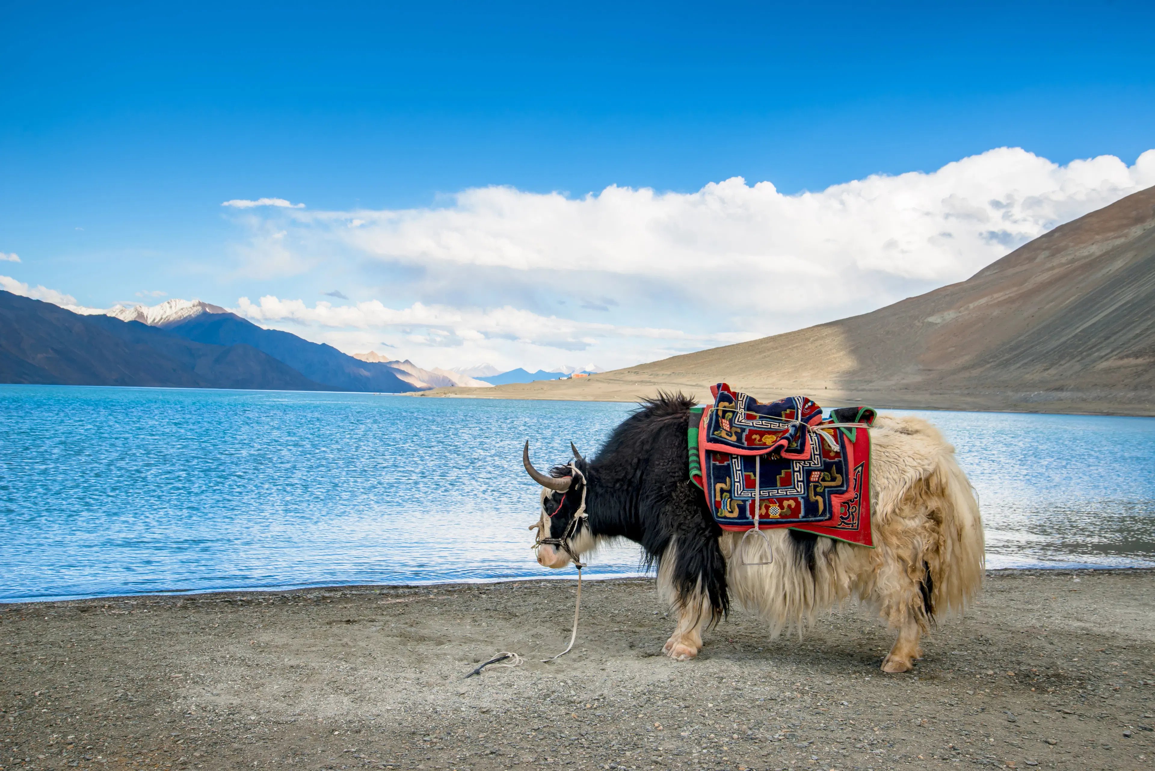 FAQs About Satopanth Lake Trek: Routes, Altitude, Best Time