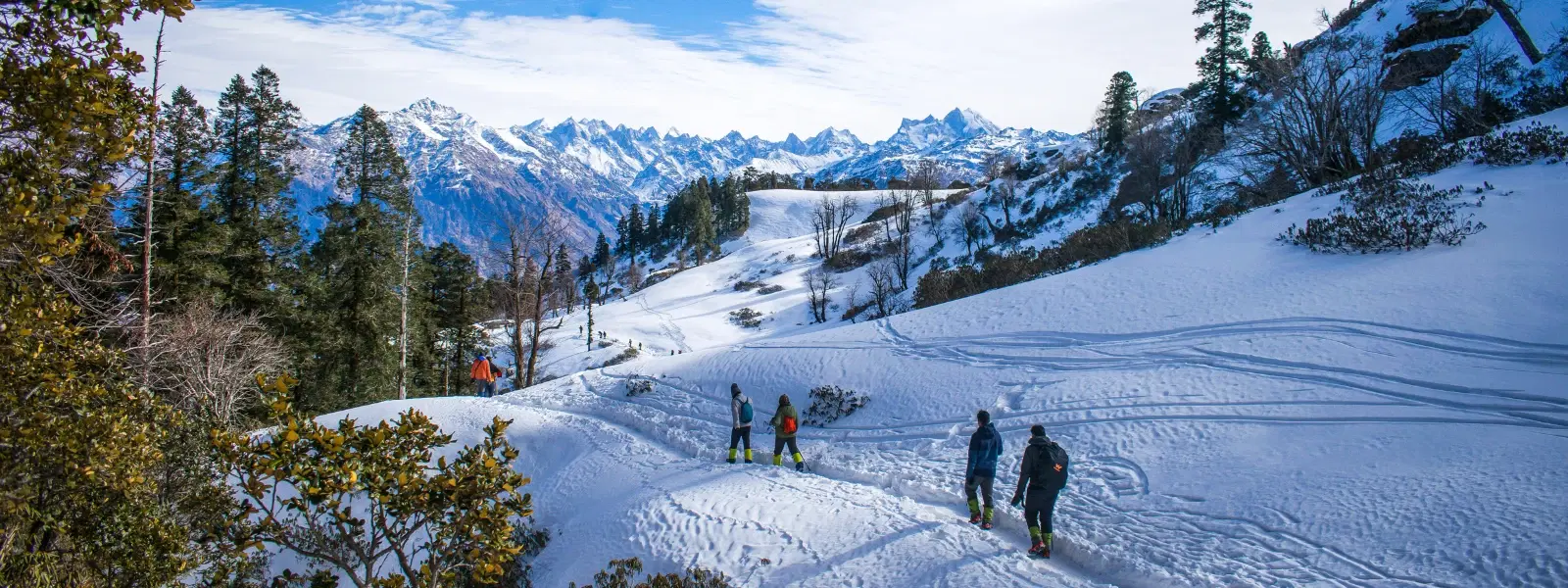 Mastering the Chadar Trek: Insights from Zanskar Experts