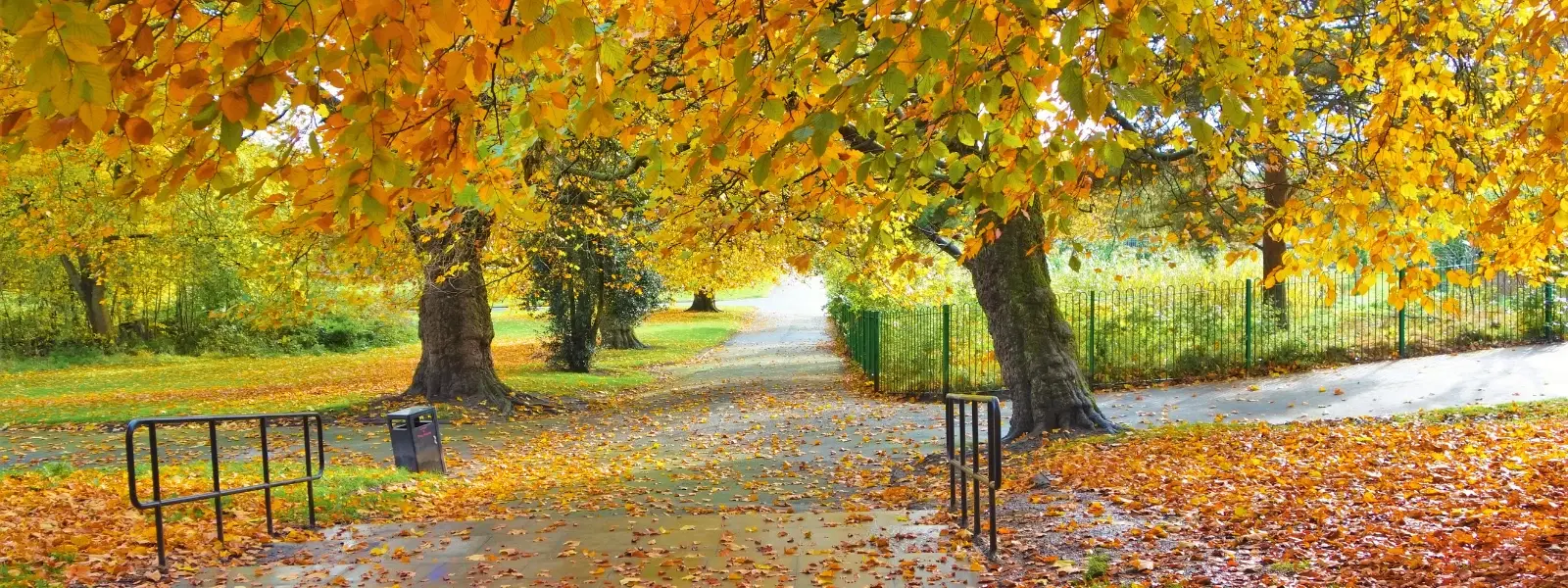 October Season in India: Insights on Autumn and Festivals