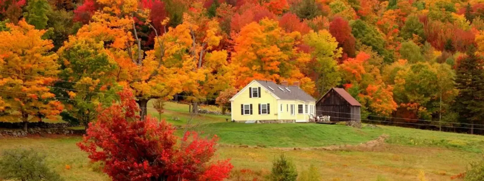 October Trips: Expert Insights on Fall Travel Trends