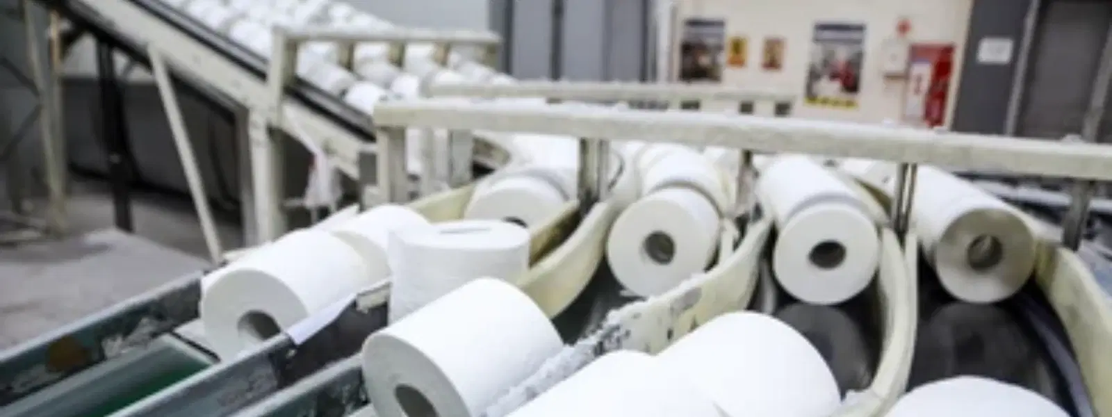 Preserving Village Paper-Making Traditions: Expert Insights