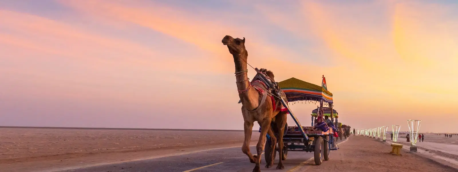 Rann of Kutch Festival FAQ: Everything You Need to Know