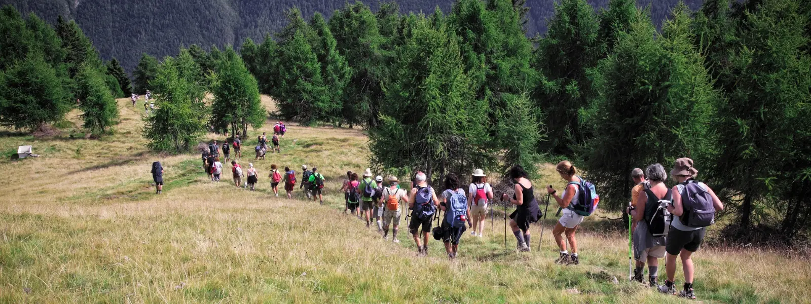 SGNP Trek vs Kanheri Caves Trek: Which One to Choose?