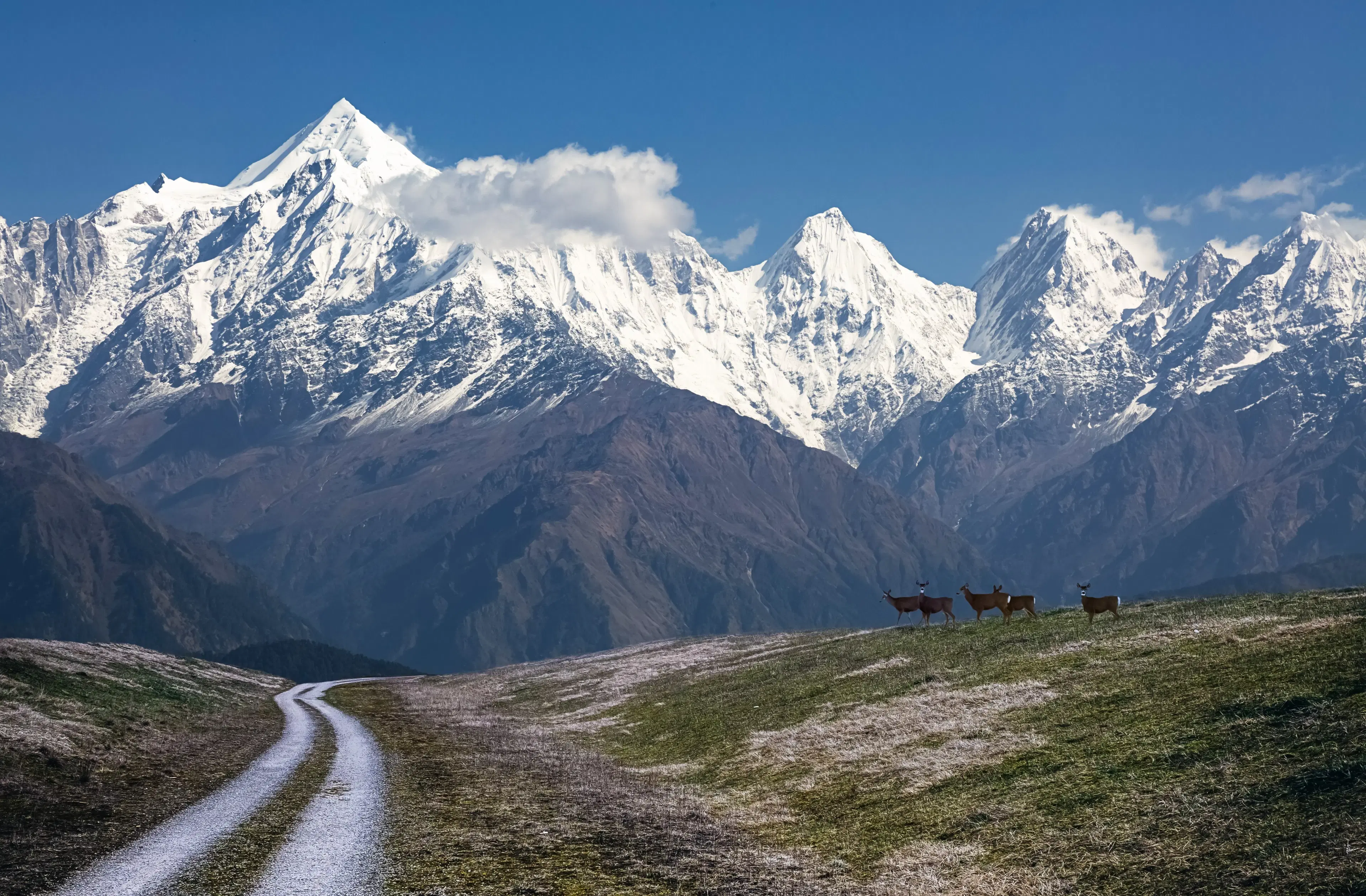 Expert Insights on Unforgettable Day Trips from Innsbruck