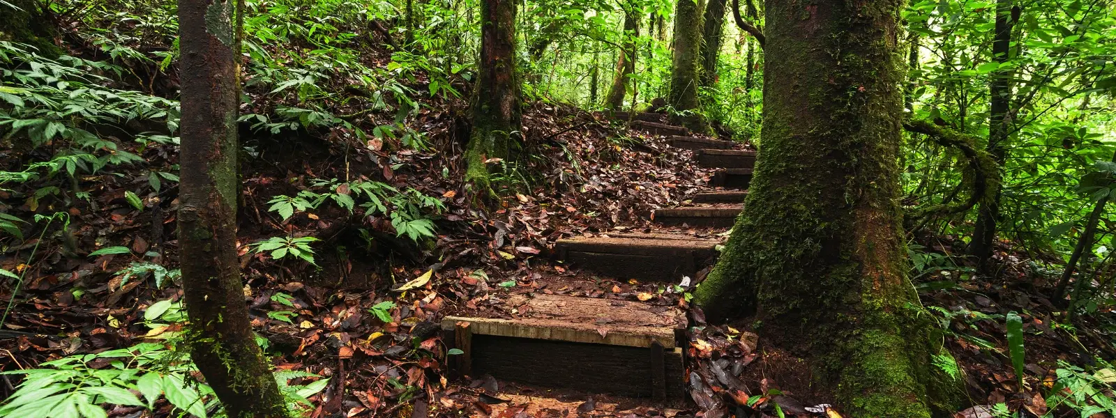 South America Travel Checklist: Best Times to Visit