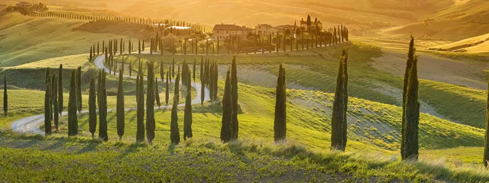 The Ultimate Checklist for Day Trips to Tuscany from Florence